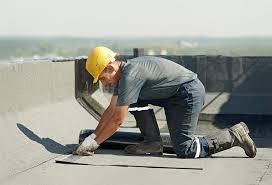 Best Roof Maintenance and Cleaning  in Gary, IN